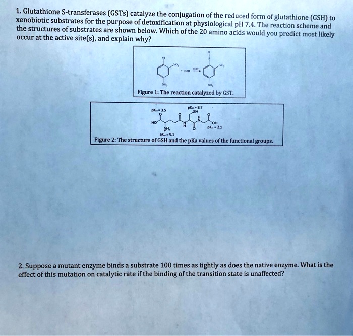 1. Glutathione S-transferases (GSTs) catalyze the conjugation of the reduced form of glutathione (GSH) to xenobiotic substrates for the purpose of detoxification at physiological pH 7.4. The reaction scheme and the structures of substrates are shown below. Which of the 20 amino acids would you predict most likely occur at the active site(s), and explain why?

Figure 1: The reaction catalyzed by GST.

Figure 2: The structure of GSH and the pKa values of the functional groups.

2. Suppose a mutant enzyme binds a substrate 100 times as tightly as does the native enzyme. What is the effect of this mutation on catalytic rate if the binding of the transition state is unaffected?