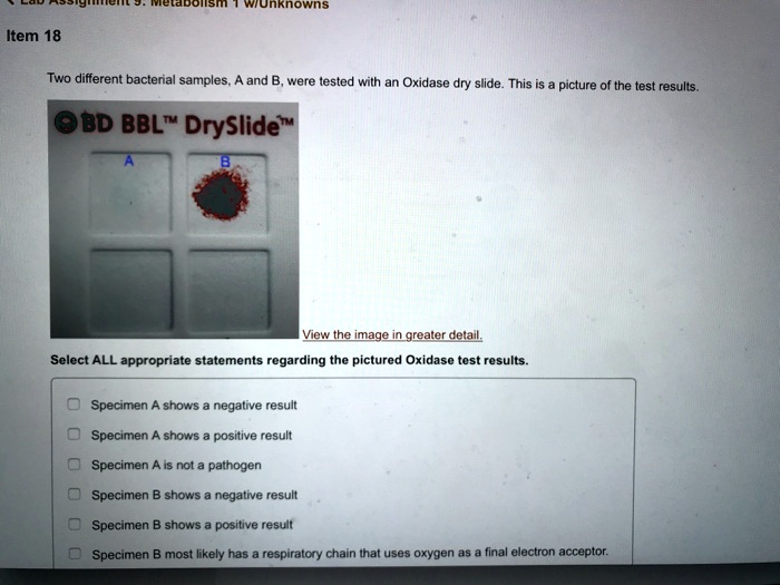 Item 18
Two different bacterial samples, A and B, were tested with an Oxidase dry slide. This is a picture of the test results.
BD BBL™ DrySlide™

A
B
View the image in greater detail.
Select ALL appropriate statements regarding the pictured Oxidase test results.
Specimen A shows a negative result
Specimen A shows a positive result
Specimen A is not a pathogen
Specimen B shows a negative result
Specimen B shows a positive result
Specimen B most likely has a respiratory chain that uses oxygen as a final electron acceptor.