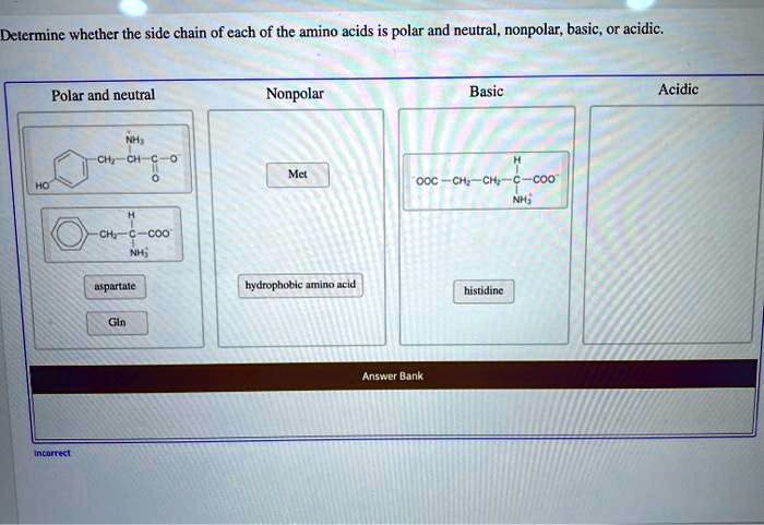 SOLVED: Determine whether the side chain of each of the amino acids is ...