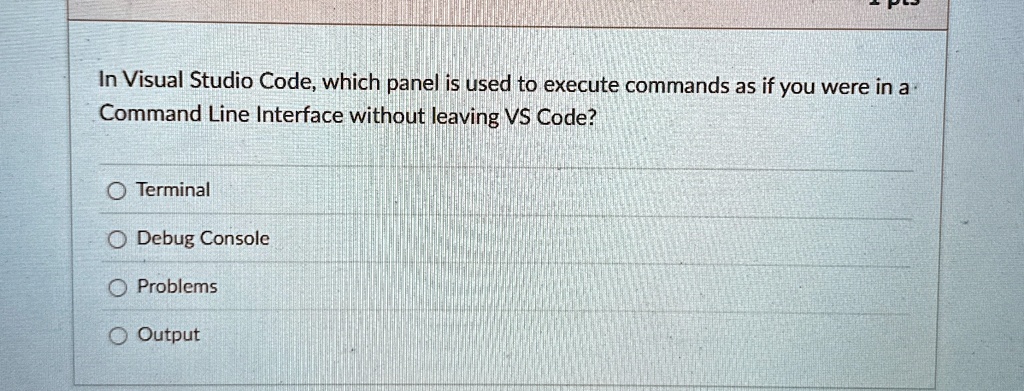 in visual studio code which panel is used to execute commands as if you ...
