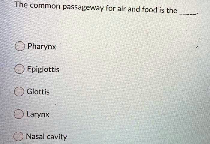 The common passageway for air and food is the .

Pharynx
Epiglottis
Glottis
Larynx
Nasal cavity
