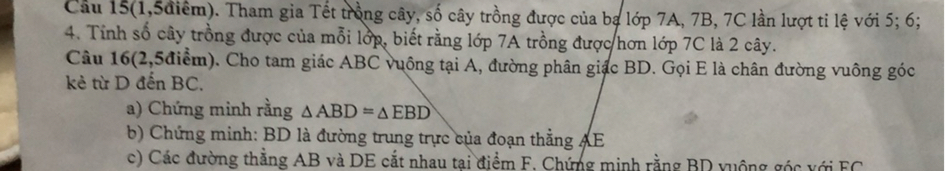 Câu 15(1,5?iêm). Tham gia T?t tr?ng cây, s? cây tr?ng ???c c?a be l?p 7A, 7B, 7 C l?n l??t ti l? v?i 5 ; 6; 4. T?nh s? cây tr?ng ???c c?a m?i l?p, bi?t r?ng l?p 7A tr?ng ???c h?n l?p 7 C là 2 cây. Câu 16(2,5 ?i?m). Cho tam giác ABC vuông t?i A , ???ng phân giâc BD . G?i E là chân ???ng vuông góc kè t? D ??n BC .
a) Ch?ng minh r?ng ABD=EBD
b) Ch?ng minh: BD là ???ng trung tr?c c?a ?o?n th?ng AE
c) Các ???ng th?ng AB và DE c?t nhau t?i ?i?m F . Ch?ng minh r?ng BD vuông oóc v?i EC
