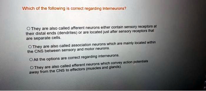 Which of the following is correct regarding Interneurons?

They are also called afferent neurons either contain sensory receptors at their distal ends (dendrites) or are located just after sensory receptors that are separate cells.

They are also called association neurons which are mainly located within the CNS between sensory and motor neurons.

All the options are correct regarding interneurons.

They are also called efferent neurons which convey action potentials away from the CNS to effectors (muscles and glands).