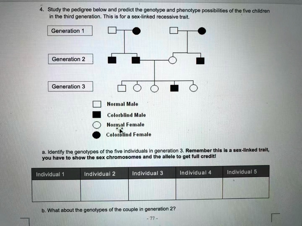 SOLVED: Text: Study the pedigree below and predict the genotype and  phenotype possibilities of the five children in the third generation. This  is for a sex-linked recessive trait. Generation Generation 2 Generation