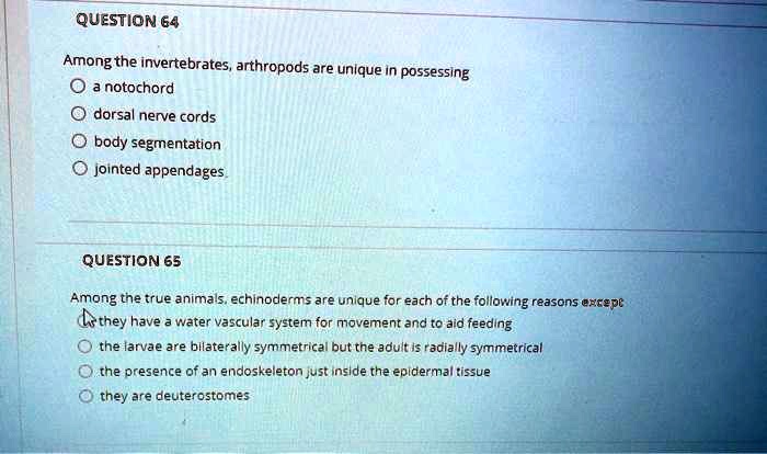 SOLVED: QUESTION 64 Among the invertebrates, arthropods are unique in