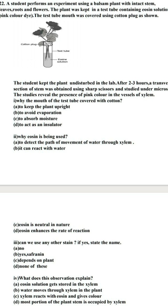 Answer This Question Please Student Performs An Experiment Using Balsam ...