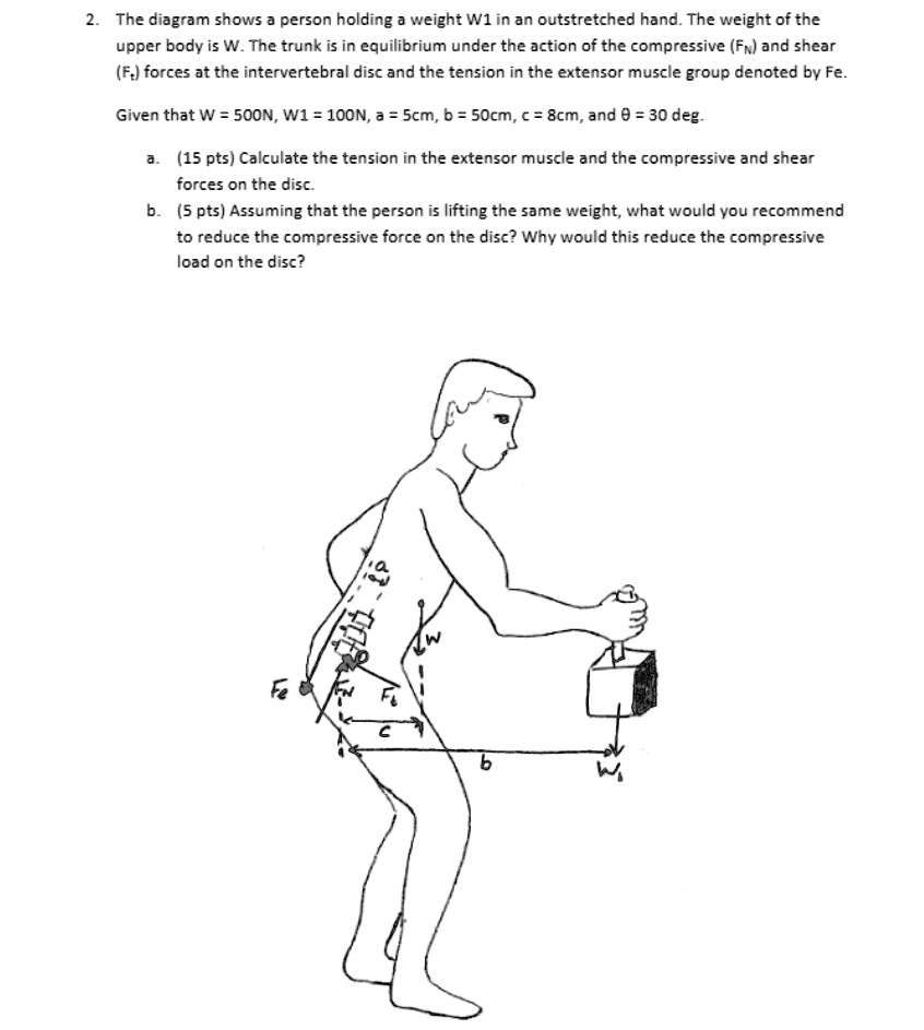 2. The diagram shows a person holding a weight W1 in an outstretched ...
