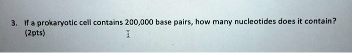 3. If a prokaryotic cell contains 200,000 base pairs, how many nucleotides does it contain?
(2pts)