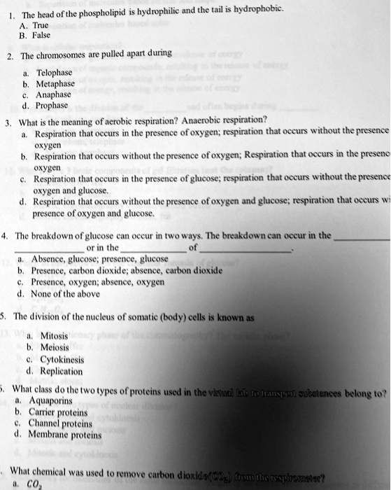 SOLVED: phospholipid is hydrophilic and the tail is hydrophobic The