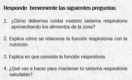 ayuda es para hoy responde brevemente las siguientes preguntas ecomo debemos cuidar nuestro sistema respiratorio aprovechando los alimentos de la zona 2 explica como se relaciona la funcion  80492