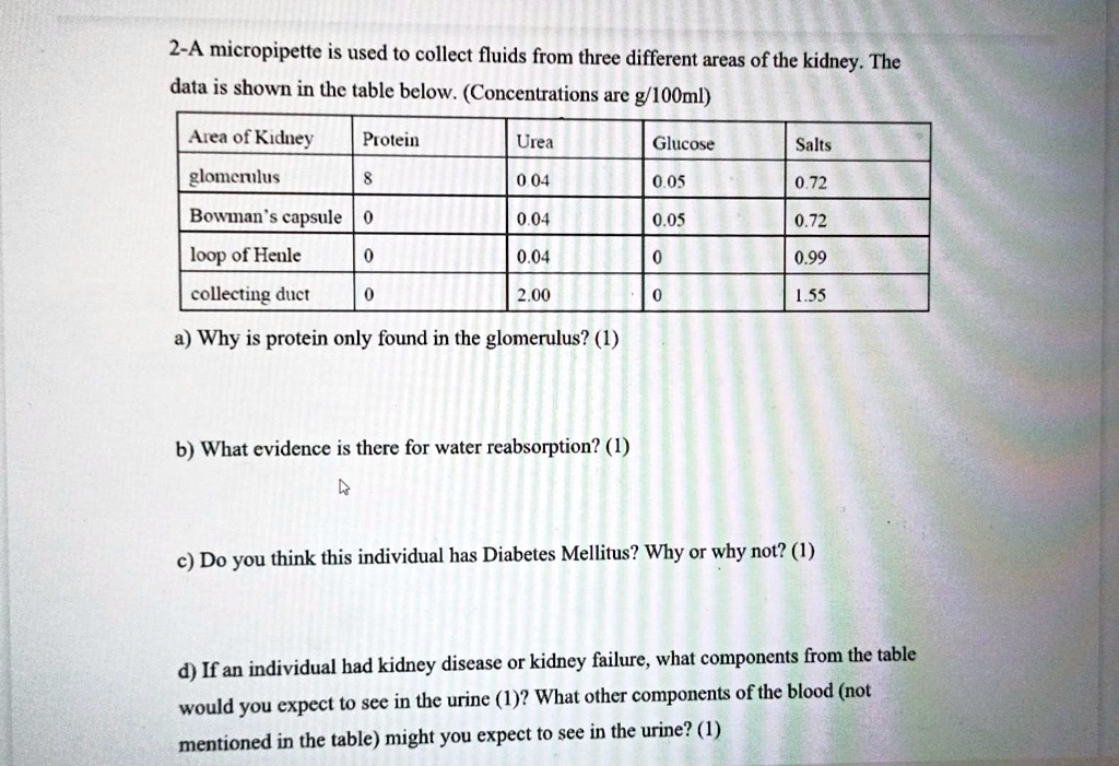 2-A micropipette is used to collect fluids from three different areas of the kidney. The
data is shown in the table below. (Concentrations are g/100ml)
Area of Kidney
Protein
Urea
Glucose
Salts
glomerulus
8
0.04
0.05
0.72
Bowman's capsule
0
0.04
0.05
0.72
loop of Henle
0
0.04
0
0.99
collecting duct
0
2.00
0
1.55
a) Why is protein only found in the glomerulus? (1)
b) What evidence is there for water reabsorption? (1)
c) Do you think this individual has Diabetes Mellitus? Why or why not? (1)
d) If an individual had kidney disease or kidney failure, what components from the table
would you expect to see in the urine (1)? What other components of the blood (not
mentioned in the table) might you expect to see in the urine? (1)
