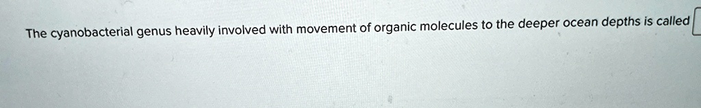 The cyanobacterial genus heavily involved with movement of organic molecules to the deeper ocean depths is called