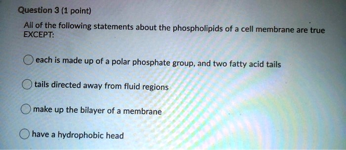 Which Of The Following Statements About Phospholipids Is True