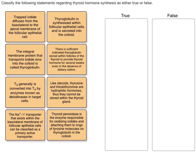 SOLVED: Classify the following statements regarding thyroid hormone ...