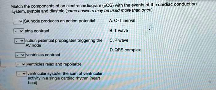 Match the components of an electrocardiogram (ECG) with the events of the cardiac conduction system, systole and diastole (some answers may be used more than once)

SA node produces an action potential
atria contract
action potential propagates triggering the AV node
ventricles contract
ventricles relax and repolarize
ventricular systole; the sum of ventricular activity in a single cardiac rhythm (heart beat)

A. Q-T interval
B. T wave
C. P wave
D. QRS complex