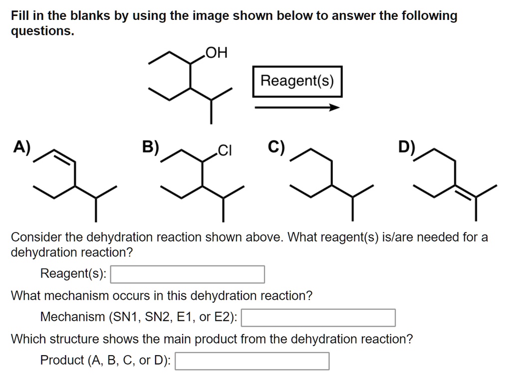 Solved Fill In The Blanks By Using The Image Shown Below To Answer The