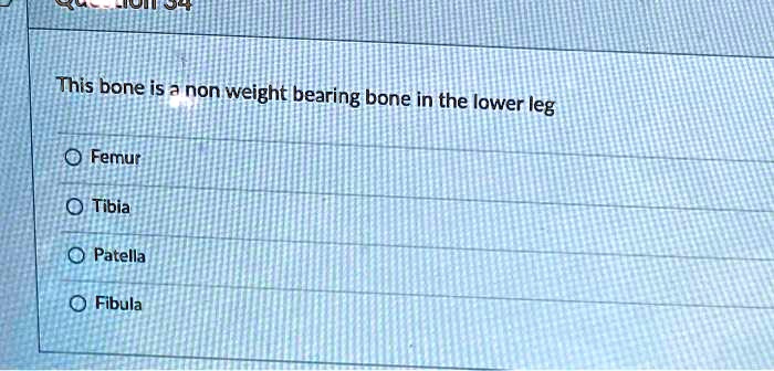 This bone is a non weight bearing bone in the lower leg
Femur
Tibia
Patella
Fibula