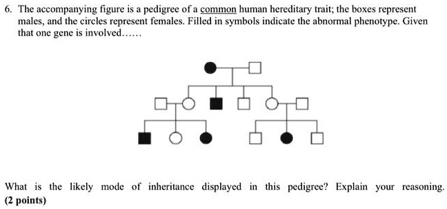 SOLVED: The accompanying figure is pedigree of common human hereditary ...