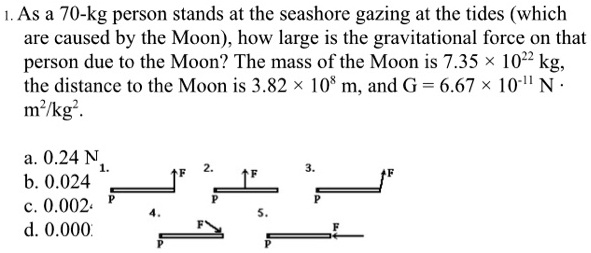 solved-as-a-70-kg-person-stands-at-the-seashore-gazing-at-the-tides