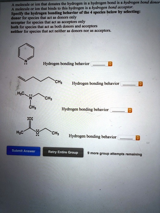 SOLVED: molecule or ion that donates the hydrogen in hydrogen bond is ...
