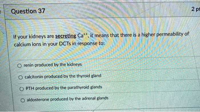 If your kidneys are secreting Ca++, it means that there is a higher permeability of calcium ions in your DCTs in response to:

renin produced by the kidneys
calcitonin produced by the thyroid gland
PTH produced by the parathyroid glands
aldosterone produced by the adrenal glands