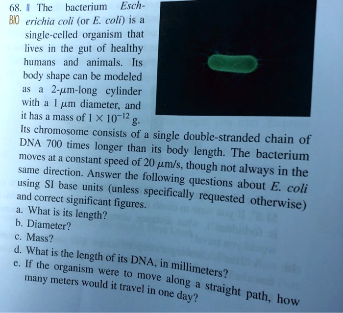 SOLVED: 68. The bacterium Escherichia coli (or E. coli) is a single ...