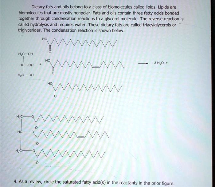 SOLVED Dietary fats and oils belong to the class of biomolecules called lipids. Lipids are
