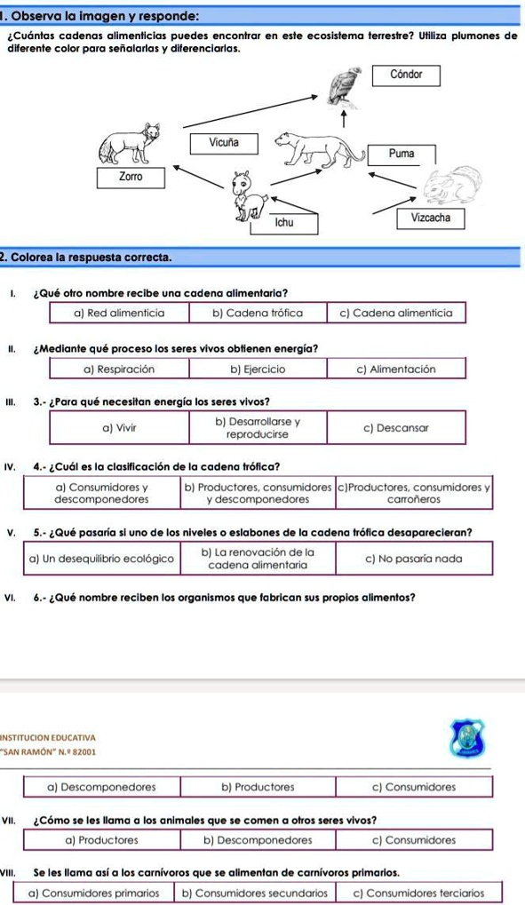 Solved Hola Porfavor Ayuda Observa La Imagen Y Responde Cu Nlas Cadenas Alimenticias Puedes