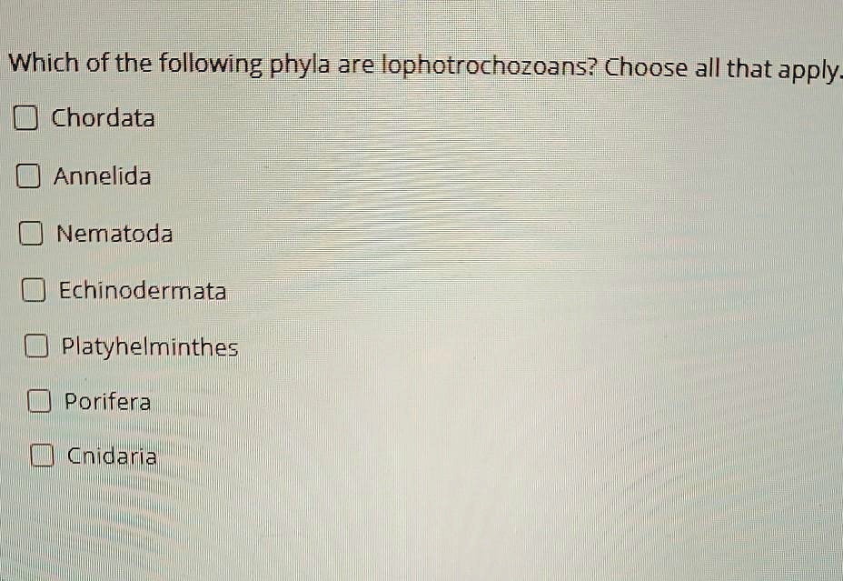 Solved Which Of The Following Phyla Are Lophotrochozoans Choose All That Apply Chordata