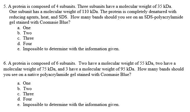 5. A protein is composed of 4 subunits. Three subunits have a molecular weight of 35 kDa. One subunit has a molecular weight of 110 kDa. The protein is completely denatured with reducing agents, heat, and SDS. How many bands should you see on an SDS-polyacrylamide gel stained with Coomasie Blue?
a. One
b. Two
c. Three
d. Four
e. Impossible to determine with the information given.

6. A protein is composed of 6 subunits. Two have a molecular weight of 55 kDa, two have a molecular weight of 75 kDa, and 3 have a molecular weight of 95 kDa. How many bands should you see on a native polyacrylamide gel stained with Coomasie Blue?
a. One
b. Two
c. Three
d. Four
e. Impossible to determine with the information given.