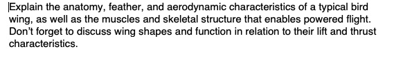 Explain the anatomy, feather, and aerodynamic characteristics of a typical bird wing, as well as the muscles and skeletal structure that enables powered flight. Don't forget to discuss wing shapes and function in relation to their lift and thrust characteristics.