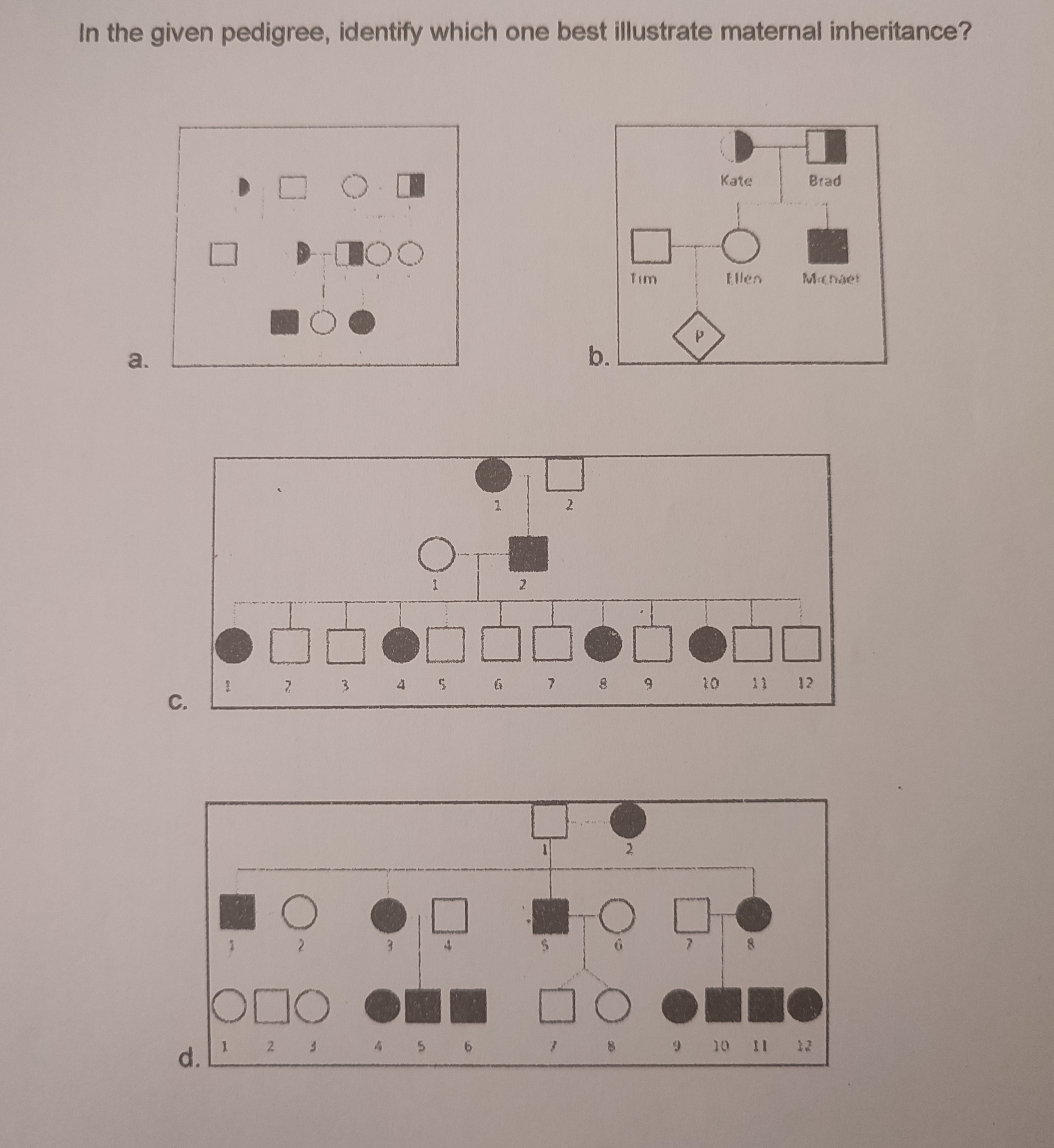 In the given pedigree, identify which one best illustrate maternal ...