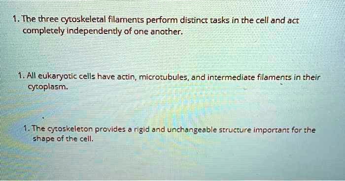 1. The three cytoskeletal filaments perform distinct tasks in the cell and act completely independently of one another.

1. All eukaryotic cells have actin, microtubules, and intermediate filaments in their cytoplasm.

1. The cytoskeleton provides a rigid and unchangeable structure important for the shape of the cell.