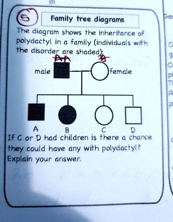 Family Tree DiagramsThe Diagram Shows The Inheritance SolvedLib