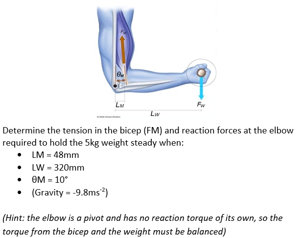 SOLVED: Determine the tension in the bicep (FM) and reaction forces at ...