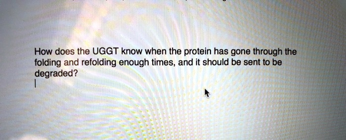 How does the UGGT know when the protein has gone through the folding and refolding enough times, and it should be sent to be degraded?
