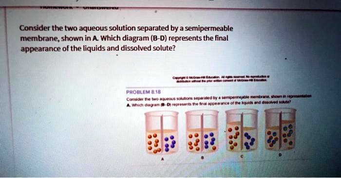 Solved Consider The Two Aqueous Solutions Separated By A Semipermeable