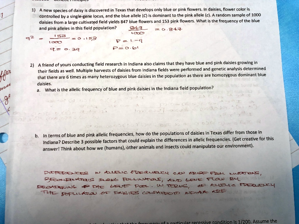 SOLVED A new species of daisy is discovered in Texas that develops