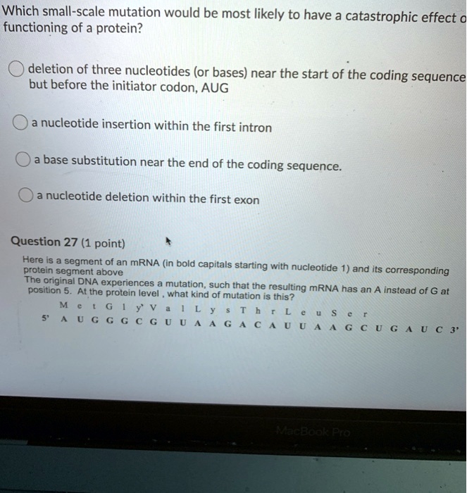 Which small-scale mutation would be most likely to have a catastrophic effect on functioning of a protein?
deletion of three nucleotides (or bases) near the start of the coding sequence but before the initiator codon, AUG
a nucleotide insertion within the first intron
a base substitution near the end of the coding sequence.
a nucleotide deletion within the first exon
Question 27 (1 point)
Here is a segment of an mRNA (in bold capitals starting with nucleotide 1) and its corresponding protein segment above
The original DNA experiences a mutation, such that the resulting mRNA has an A instead of G at position 5. At the protein level, what kind of mutation is this?
Met Gly Val Lys Thr Leu Ser
5' A U G G G C G U U A A G A C A U U A A G C U G A U C 3'
