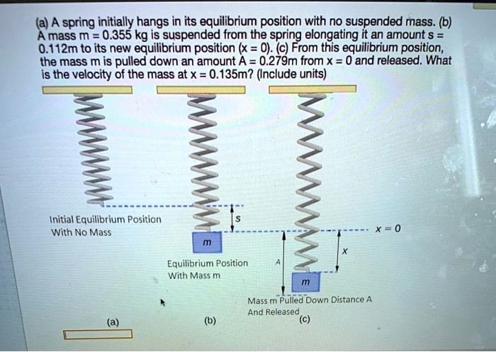 (a) A spring initially hangs in its equilibrium position with no ...