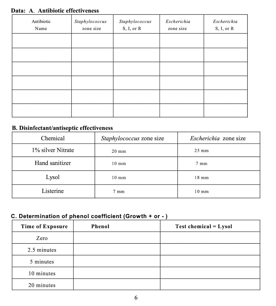 SOLVED Lab 7 Microbiology Chemical Antimicrobial Treatments Any