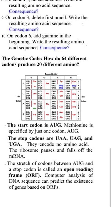 resulting amino acid sequence. Consequence? 9. On codon 3, delete first ...