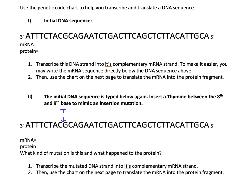 SOLVED:Use the genetic code chart to help you transcribe and