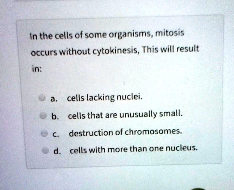 In the cells of some organisms, mitosis occurs without cytokinesis, This will result in:

a. cells lacking nuclei.
b. cells that are unusually small.
c. destruction of chromosomes.
d. cells with more than one nucleus.