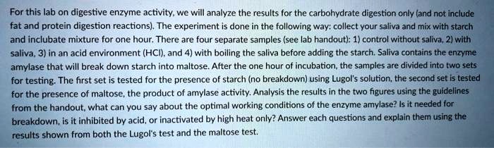For this lab on digestive enzyme activity, we will analyze the results for the carbohydrate digestion only (and not include fat and protein digestion reactions). The experiment is done in the following way: collect your saliva and mix with starch and inclubate mixture for one hour. There are four separate samples (see lab handout): 1) control without saliva, 2) with saliva, 3) in an acid environment (HCI), and 4) with boiling the saliva before adding the starch. Saliva contains the enzyme amylase that will break down starch into maltose. After the one hour of incubation, the samples are divided into two sets for testing. The first set is tested for the presence of starch (no breakdown) using Lugol's solution, the second set is tested for the presence of maltose, the product of amylase activity. Analysis the results in the two figures using the guidelines from the handout, what can you say about the optimal working conditions of the enzyme amylase? Is it needed for breakdown, is it inhibited by acid, or inactivated by high heat only? Answer each questions and explain them using the results shown from both the Lugol's test and the maltose test.