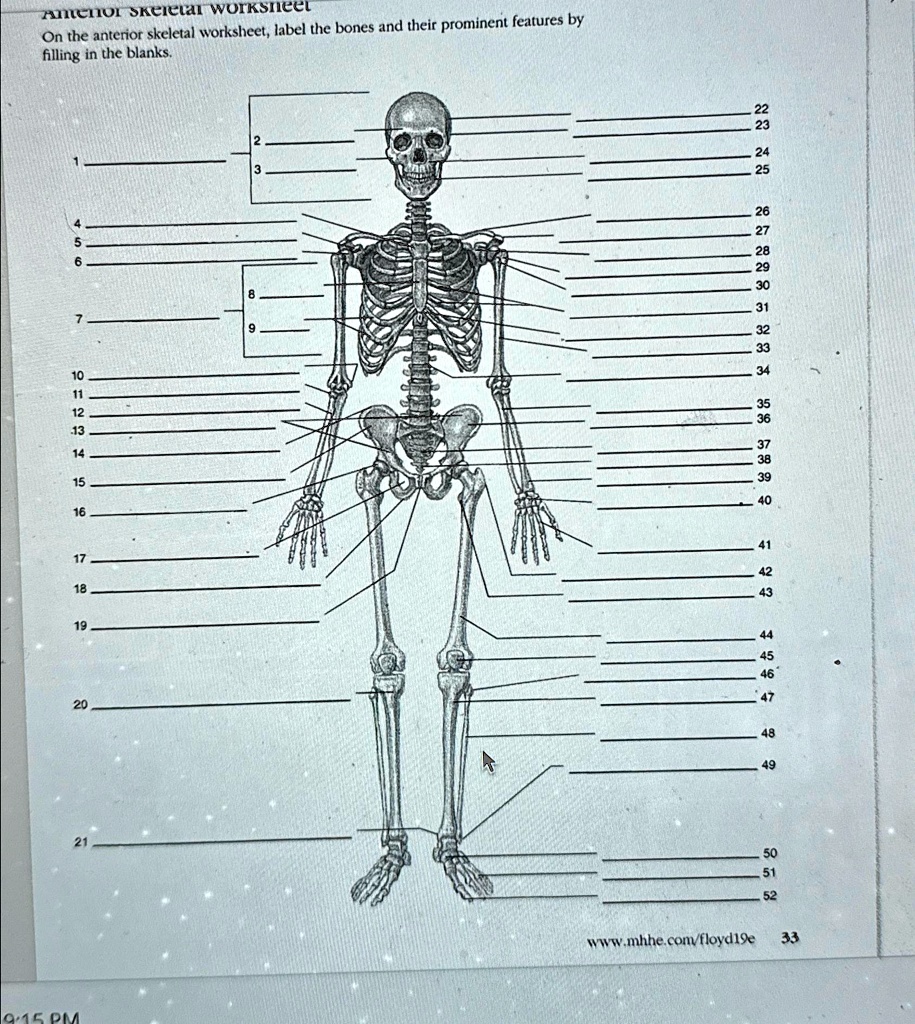 anterior-skeletal-worksheet-on-the-anterior-skeletal-worksheet-label