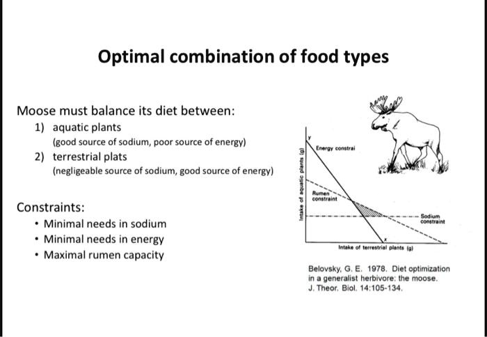 Optimal combination of food types
Moose must balance its diet between:
1) aquatic plants
(good source of sodium, poor source of energy)
2) terrestrial plats
(negligeable source of sodium, good source of energy)
Constraints:
• Minimal needs in sodium
• Minimal needs in energy
• Maximal rumen capacity
Belovsky, G. E. 1978. Diet optimization
in a generalist herbivore: the moose.
J. Theor. Biol. 14:105-134.
