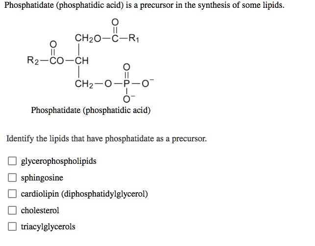 SOLVED: Phosphatidate (phosphatidic acid) is a precursor in the ...