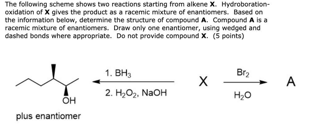 SOLVED: The Following Scheme Shows Two Reactions Starting From Alkene X ...