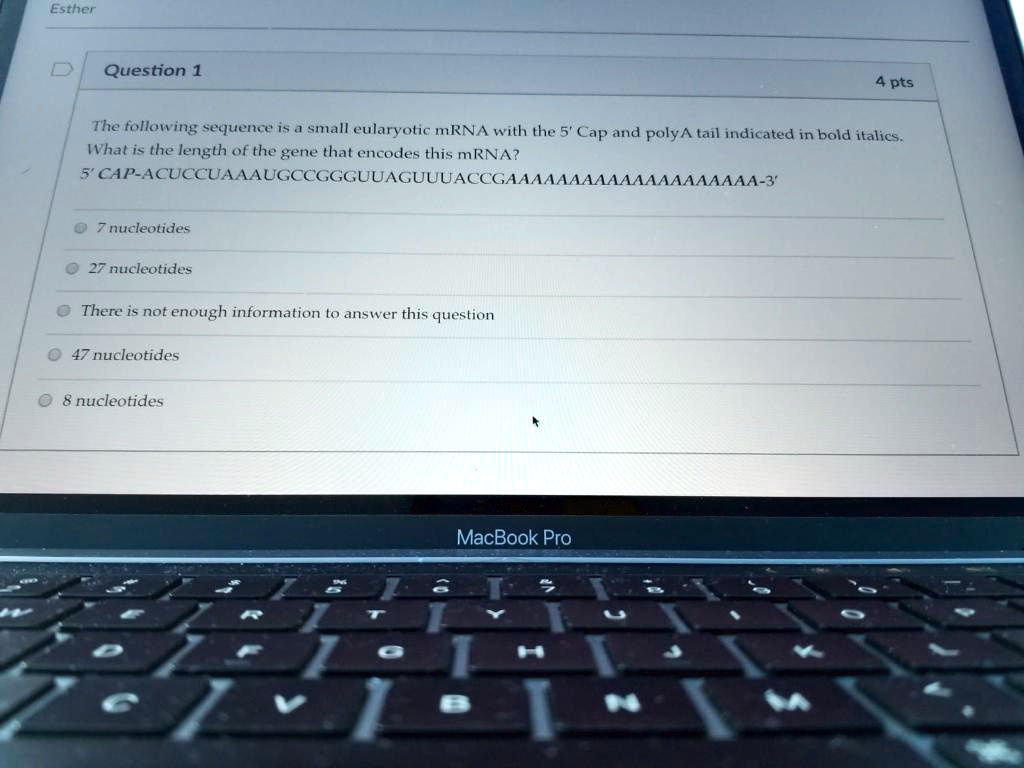 SOLVED: The following sequence is small eukaryotic mRNA with the 5' Cap ...